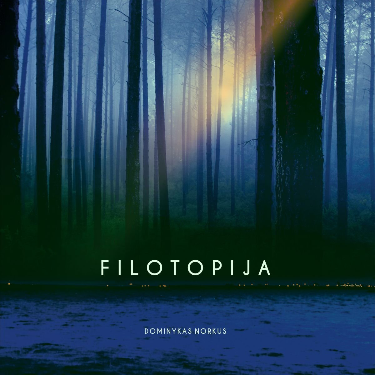 Dominykas Norkus Filotopija vinilinė plokštelė Albumo viršelis vaizduoja mistišką, ramią miško sceną. Fone matyti aukšti, tiesūs medžiai, apgaubti mėlyno rūko ar miglos, kuri suteikia paveikslui paslaptingumo ir tylos atmosferą. Per medžių kamienus sklinda švelni gelsvai oranžinė šviesa, tarsi saulės spinduliai bandytų prasiskverbti pro tankų mišką. Apačioje matomas tamsus vandens paviršius, kuris atspindi šiek tiek šviesos.