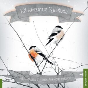 Albumo viršelis turi švelnų, žiemišką ir nostalgišką stilių. Centre matomi du paukščiai – jie primena sniegenas, nes turi ryškų oranžinį krūtinės atspalvį ir juodus sparnus bei galvas. Paukščiai tupi ant plonų žiemiškų šakelių, o aplinka neryški, tarsi padengta šviesia šalna ar sniegu. Viršuje ir apačioje yra pilkos, vėliavos formos juostos su tekstu, parašytu meniniu, tarsi ranka pieštu šriftu.