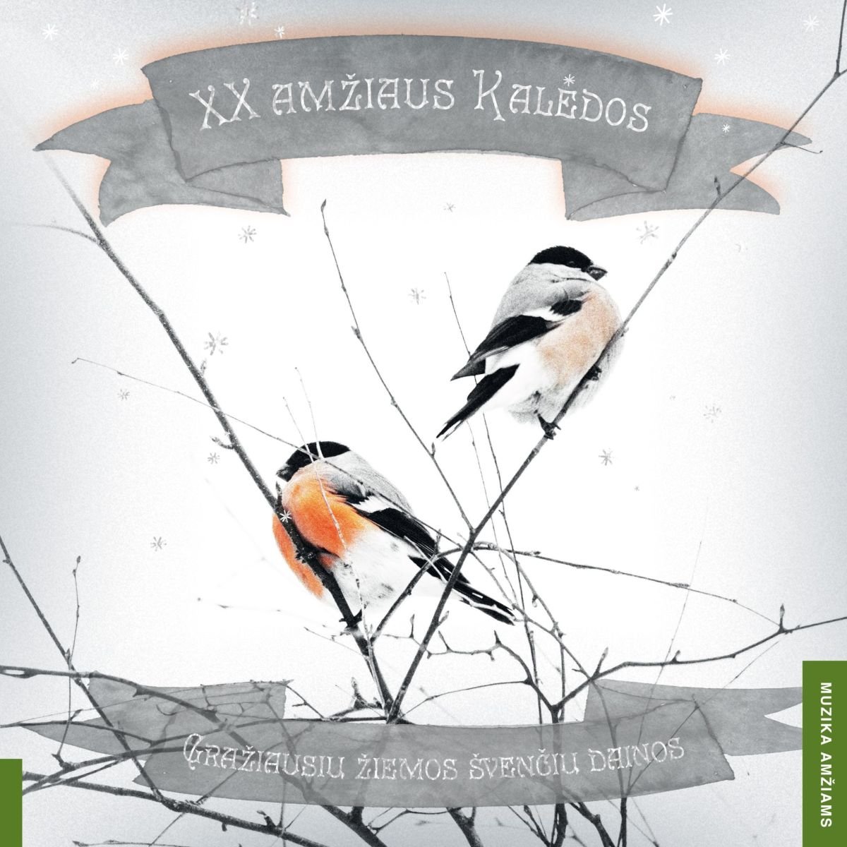 XX Amžiaus Kaledos vinilo ploktelė Albumo viršelis turi švelnų, žiemišką ir nostalgišką stilių. Centre matomi du paukščiai – jie primena sniegenas, nes turi ryškų oranžinį krūtinės atspalvį ir juodus sparnus bei galvas. Paukščiai tupi ant plonų žiemiškų šakelių, o aplinka neryški, tarsi padengta šviesia šalna ar sniegu. Viršuje ir apačioje yra pilkos, vėliavos formos juostos su tekstu, parašytu meniniu, tarsi ranka pieštu šriftu.