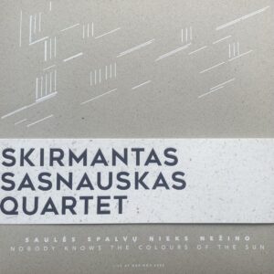 Šviesiai pilkame, šiek tiek grublėtos tekstūros fone išdėstyta daugybė trumpų baltų brūkšnelių. Brūkšneliai sudėlioti grupėmis ir skirtingais kampais – kai kurios grupės vertikalios, kitos įstrižos. Jie primena: lietaus ar krentančių šviesos spindulių linijas, abstrakčią muzikinę struktūrą ar ritmą, tarsi vizualizuotą garsą, kai kam gali priminti net brailio ar ženklų sistemą.