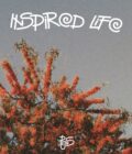 Vinilo albumas „Inspired Life“ – retro stiliaus viršelis su oranžiniais žiedais ir mėlynu dangumi, šiltų tonų fotografija“