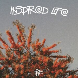 Vinilo albumas „Inspired Life“ – retro stiliaus viršelis su oranžiniais žiedais ir mėlynu dangumi, šiltų tonų fotografija“