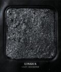 Vinilo plokštelė „Lingua – Lazy Diamond“ su juodu minimalistiniu viršeliu ir blizgančia sidabriškai juoda tekstūra centre.